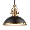 Elk Lighting Chadwick 1-Lght Pendant in Oil Rubbed Brnz w/Metal and Frosted Glass 66618-1